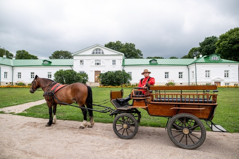 Более 100 потомков Льва Толстого приехали на съезд в Ясную Поляну