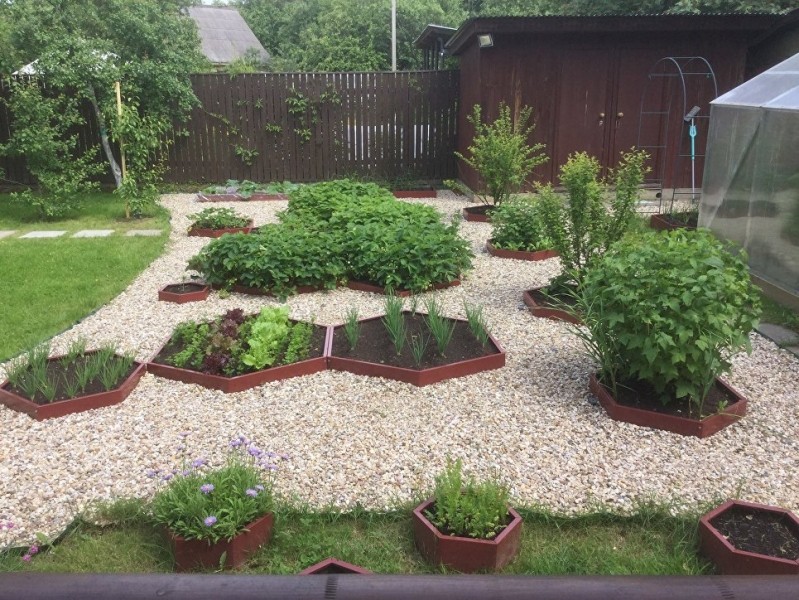 Грядка на прокачку: садоводы рассказали, как сделать огород красивее парка