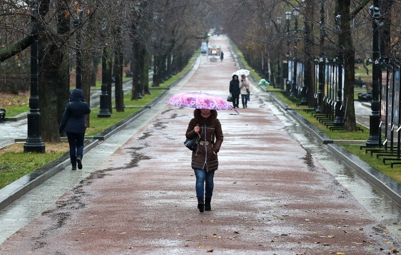 Аномальное для октября тепло в регионах Центра России к выходным сменится похолоданием