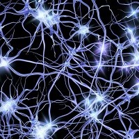 Ученые предложили способ защитить нейроны после инсульта