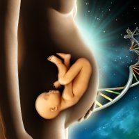 Найдена ДНК, влияющая на пол будущего ребенка