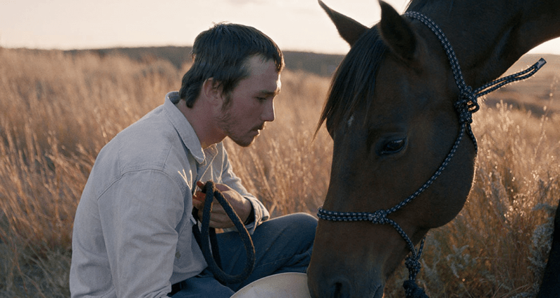 5 новых восхитительных фильмов с лошадьми, родео и быками