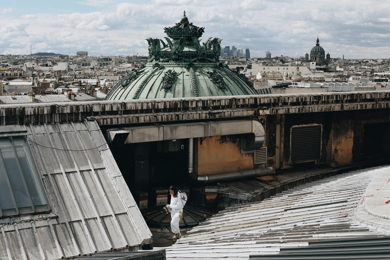 Спасение от вымирания, помощь церкви и сувениры: зачем в Париже разводят пчел на крышах