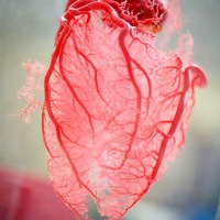 Лекарства от псориаза также защищают от сердечного приступа