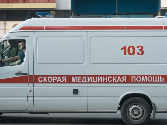 В Москве в результате несчастного случая погиб сын известного политолога