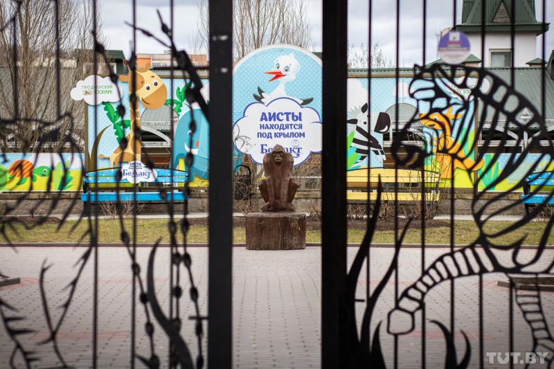 Все началось с бобра. Как живет старейший зоопарк Беларуси, которому исполняется 90 лет