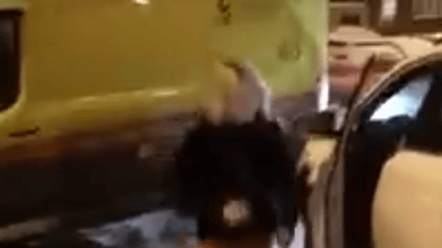 Видео: женщина, вооружившись клюшкой, напала на машину скорой помощи