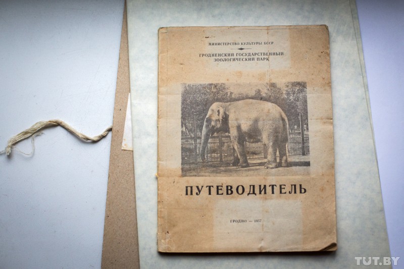 Все началось с бобра. Как живет старейший зоопарк Беларуси, которому исполняется 90 лет