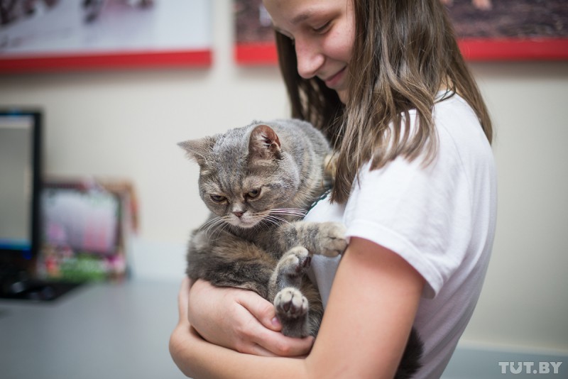 «От стресса кот может заболеть». Ветеринар — о прививках и питании домашних любимцев