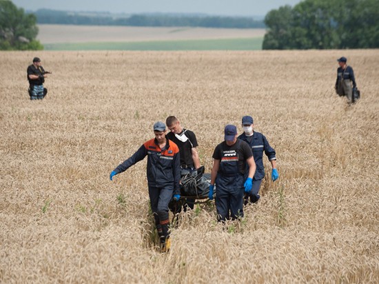 Катастрофа MH17 на Донбассе: США и Украина «заметают следы»
