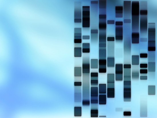 «Подписанных бумаг пока нет»: генетик Ребриков ждет желающих «починить» мутации