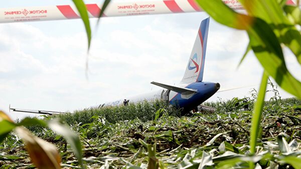 Командир A321 объяснил решение сажать самолет в поле с кукурузой