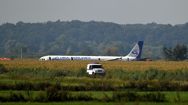 Командир A321 объяснил решение сажать самолет в поле с кукурузой