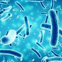 Ремоделирование микробиома помогает бороться с болезнями