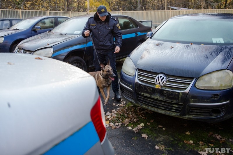 Собаки-спецназовцы искали наркотики и взрывчатку наперегонки. Посмотрите, как это было