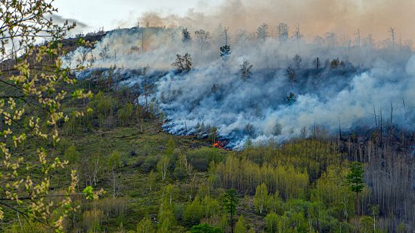 В Иркутской области лесные пожары привели к задымлению населенных пунктов